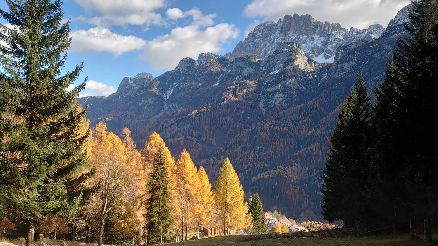 Golden larches and the Dolomites on an autumn hike